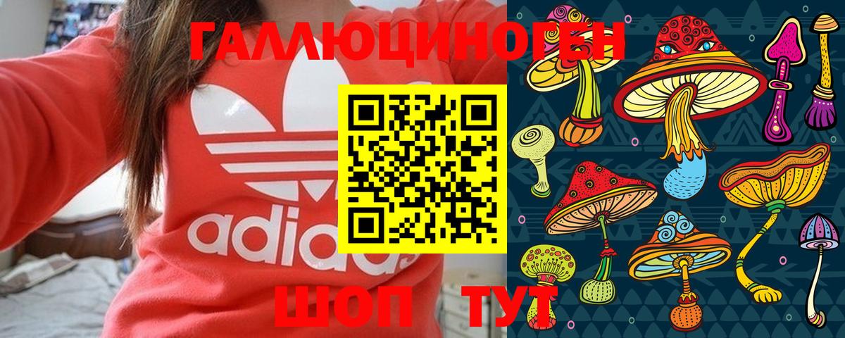 Псилоцибиновые грибы мицелий Елизово
